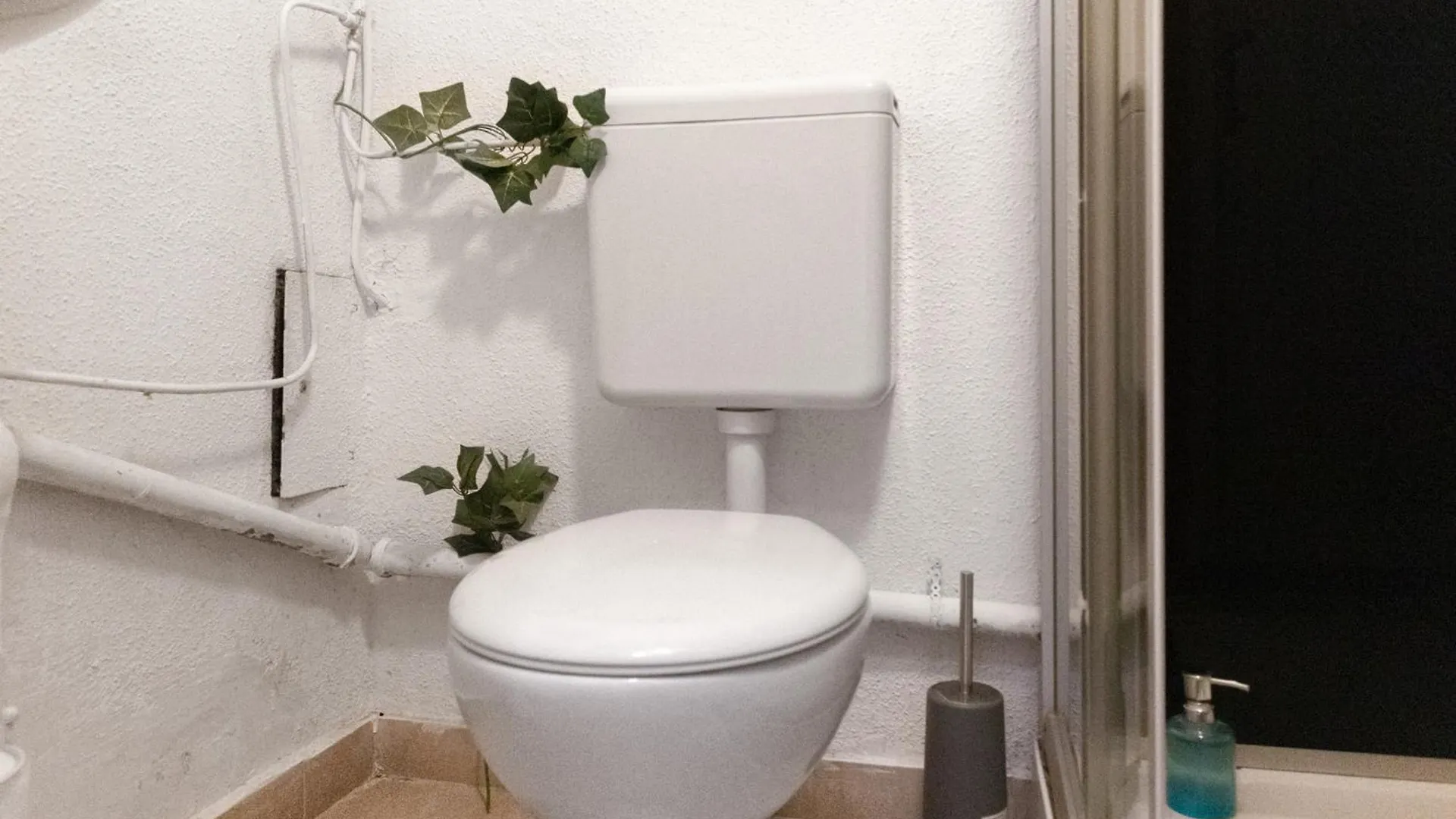 Spacious 1Br Apt, Wifi & Tv, With A Great Location Vienna Apartment